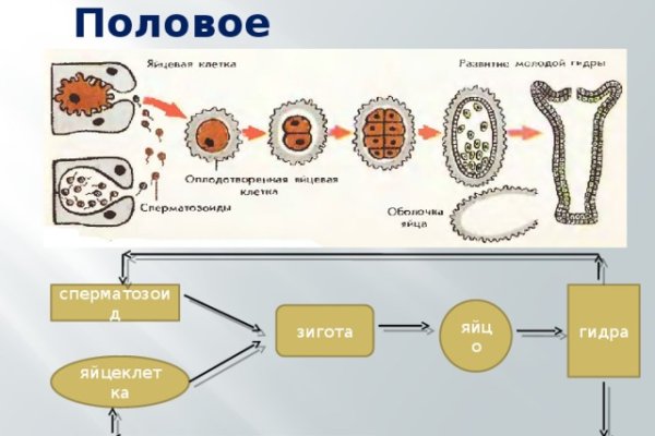 Kraken рабочая ссылка 2025