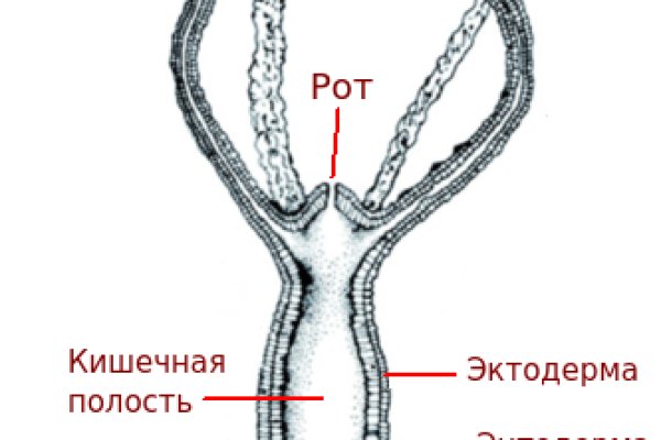 Кракен дарк оригинал ссылка