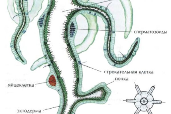 Купон кракен даркнет