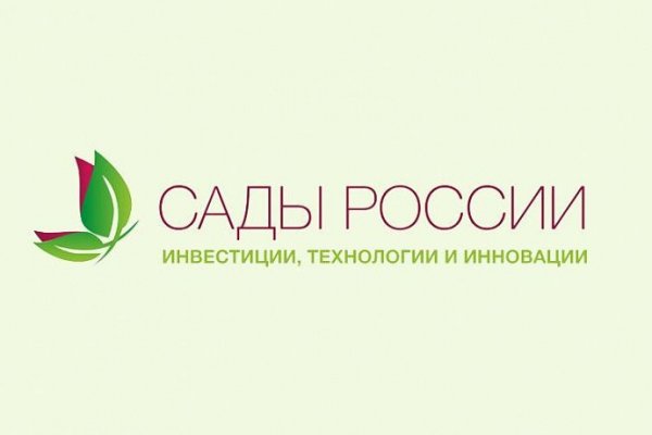 Кракен купить порошок