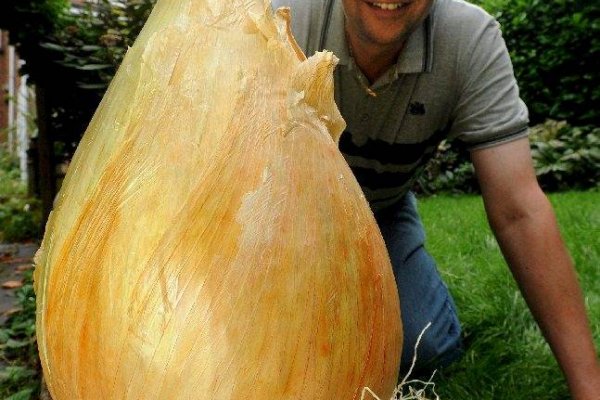 Кракен действующая ссылка