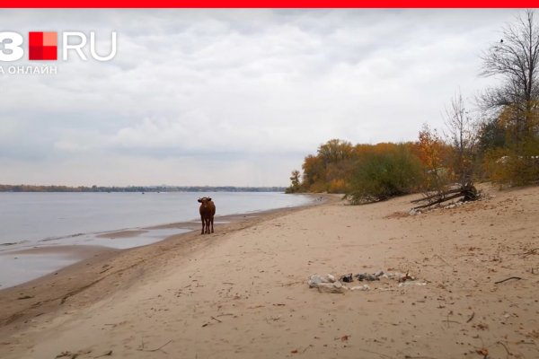 Кракен даркнет рабочая ссылка