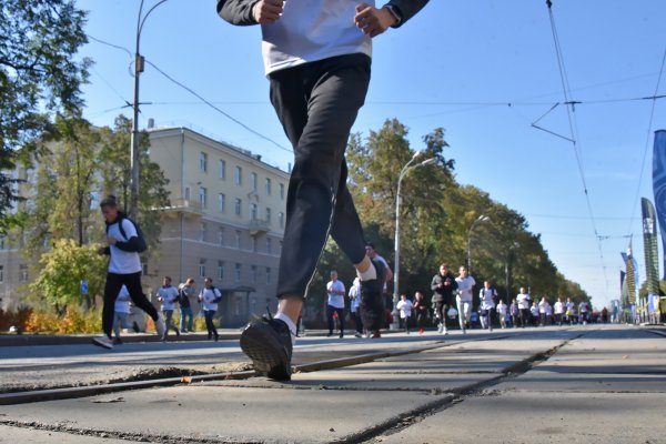 Kraken 14 at сайт