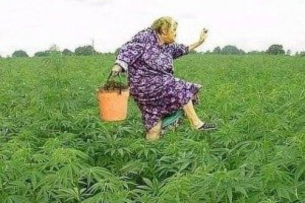 Как попасть на кракен с айфона