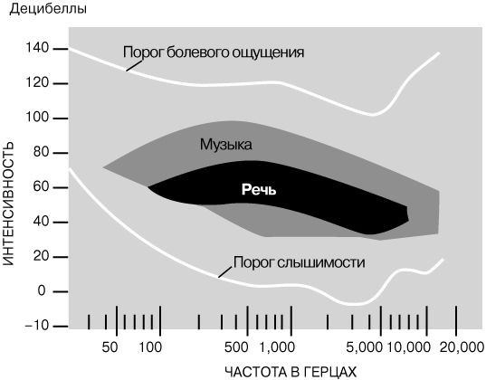 Ссылки на дарк нет